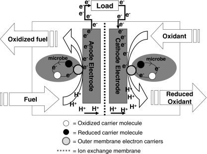 pila de combustible microbiana