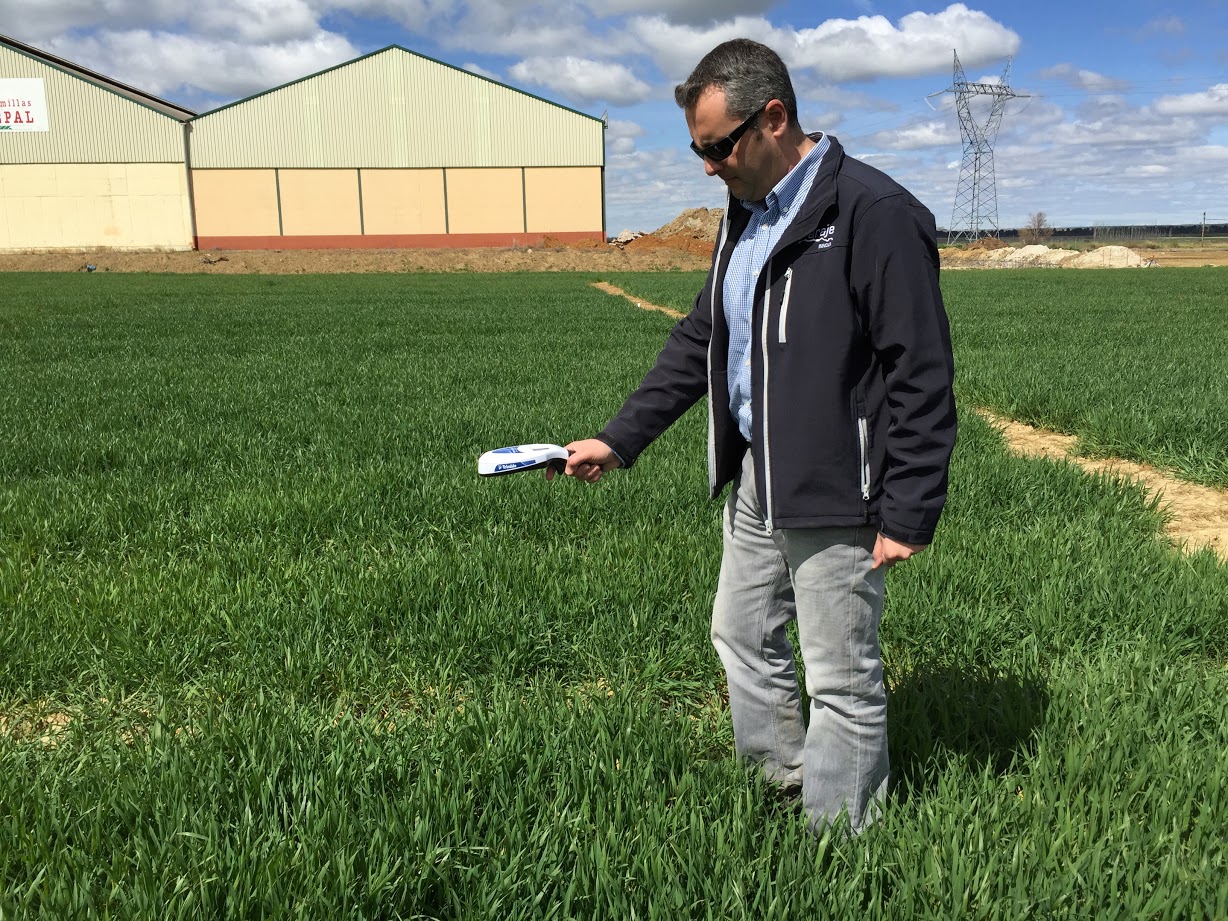 NDVI GreenSeeker ensayo trigo Palencia