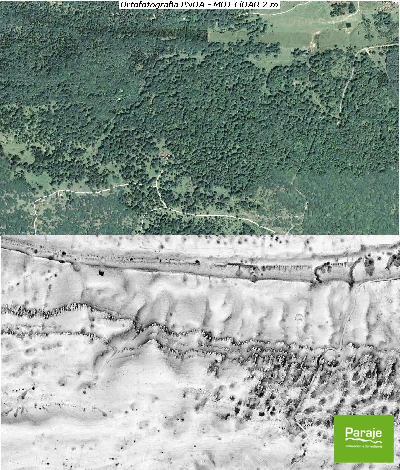 Aplicación de SVF a MDT Aplicación de SVF a MDT