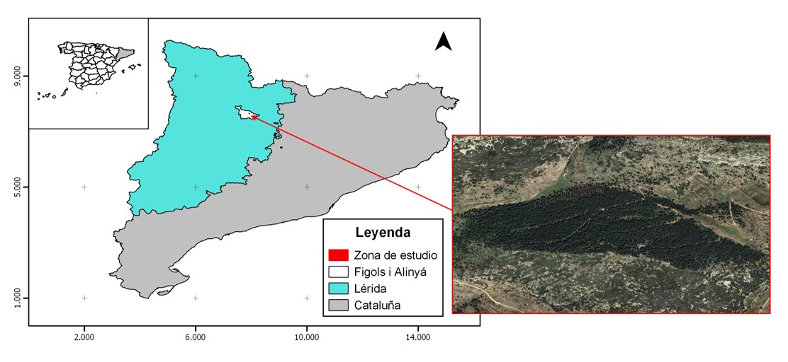 Zona de estudio aplicación forestal de la teledetección